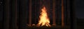 3d rendering of big bonfire with sparks and particles next to pine trees and starry sky