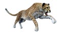 3D Rendering Big Cat Cheetah on White Royalty Free Stock Photo