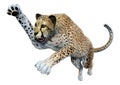 3D Rendering Big Cat Cheetah on White Royalty Free Stock Photo