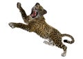 3D Rendering Big Cat Jaguar on White