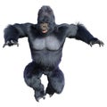3D Rendering Black Gorilla Ape on White Royalty Free Stock Photo