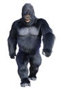 3D Rendering Black Gorilla Ape on White Royalty Free Stock Photo