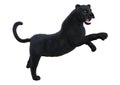 3D Rendering Black Panther on White