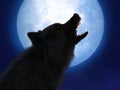 3D rendering of black wolf with red eyes in moonlight Royalty Free Stock Photo