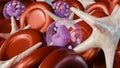 A 3D rendering of embolus or blood clot