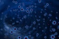 3D rendering, blue coronavirus cells covid-19 influenza flowing on abstract blue background with red cells as dangerous flu strain