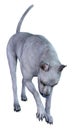 3D Rendering Blue Grat Dane Dog on White