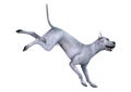 3D Rendering Blue Grat Dane Dog on White