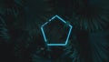 3d rendering of blue pentagon neon light with tropical leaves. Flat lay of minimal nature style concept