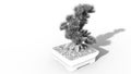 3D rendering. Bonsai.