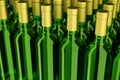 Bottles of white wine in rows