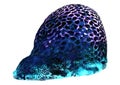 3D Rendering Brain Coral on White