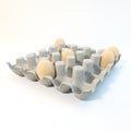 3d rendering brown eggs in a carton package