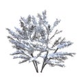 3D Rendering Bush Under Snow on White
