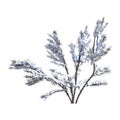 3D Rendering Bush Under Snow on White Royalty Free Stock Photo