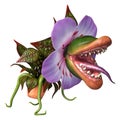 3D Rendering Carnivorous Plant on White