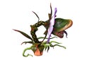 3D Rendering Carnivorous Plant on White