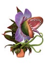 3D Rendering Carnivorous Plant on White