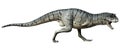 3D Rendering Carnotaurus Sastrei Dinosur on White