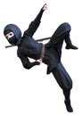 3D Rendering Cartoon Ninja Boy on White