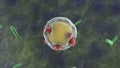 3D rendering of a cell that is attacked by viruses. The idea of immunity, the fight for the life of the body. Coronavirus in