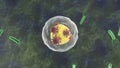 3D rendering of a cell that is attacked by viruses. The idea of immunity, the fight for the life of the body. Coronavirus in
