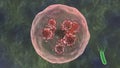 3D rendering of a cell that is attacked by viruses. The idea of immunity, the fight for the life of the body. Coronavirus in