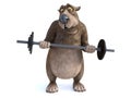 3D rendering of cartoon bear exercising with barbell.