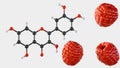 A 3d rendering of quercetin molecule and raspberries Royalty Free Stock Photo