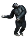 3D Rendering Chimpanzee on White Royalty Free Stock Photo