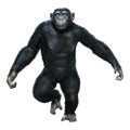 3D Rendering Chimpanzee on White Royalty Free Stock Photo