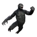 3D Rendering Chimpanzee on White Royalty Free Stock Photo