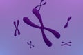 3d rendering of Chromosome Abstract Scientific Background, 3d illustration