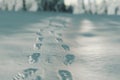 3d rendering of close up of footsteps at winter landscape