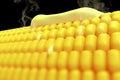 Close up of a hot corn with melted butter