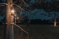 3d rendering of close-up shot of forest at night with hanging lighten storm lantern