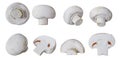 3d rendering - Close view of Mushrooms with differents angles isolated on white background high quality details