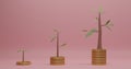 3D Rendering. Coins stack growth graph with trees on pink background