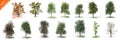 3D rendering - 14 in 1 collection tree of plants isolated over a white background