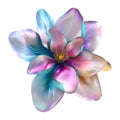 3D Rendering of a Colorful Beautiful Flower on Transparent Background - Ai Generated Royalty Free Stock Photo