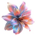 3D Rendering of a Colorful Beautiful Flower on Transparent Background - Ai Generated Royalty Free Stock Photo