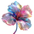 3D Rendering of a Colorful Beautiful Flower on Transparent Background - Ai Generated Royalty Free Stock Photo