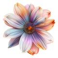 3D Rendering of a Colorful Beautiful Flower on Transparent Background - Ai Generated Royalty Free Stock Photo