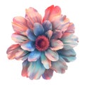 3D Rendering of a Colorful Beautiful Flower on Transparent Background - Ai Generated Royalty Free Stock Photo
