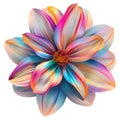 3D Rendering of a Colorful Beautiful Flower on Transparent Background - Ai Generated Royalty Free Stock Photo