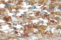 A large number of Euro banknotes falling down, on white background