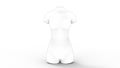 3D rendering of a female torso isolated in white studio background Royalty Free Stock Photo