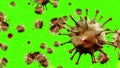 3D rendering, coronavirus cells covid-19 influenza flowing on chroma key green screen background as dangerous flu strain cases as