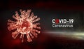 3D Rendering COVID-19 coronavirus. Abstract electron microscopic imge of coronavirus.