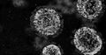 Microscopic COVID-19 Coronavirus Molecules Black and White Close Up - nCOV Influenza Virus Under Macro Medical Lab Microscope Royalty Free Stock Photo